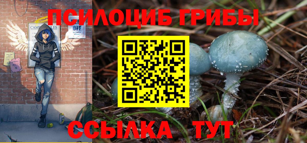 Псилоцибиновые грибы мицелий  дарнет шоп  Салехард  Вход с VPN 
